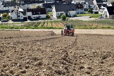 Weinbergsarbeit beim Pflanzen. Im Bild zu sehen Traktor an Hangfläche im unteren Bereich des Weinbergs. Im Hintergrund Häuserreihe.