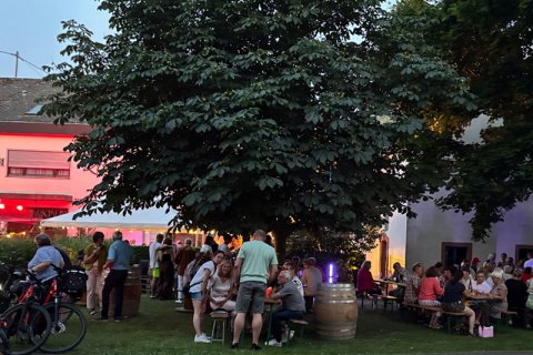 Abendimpression Hoffest Abendimpression vom Hoffest mit Blick auf die vorgelagerte Grünfläche, bei der Gäste sitzend und stehend das Fest genießen. Im Hintergrund ist das Weingut zu sehen.