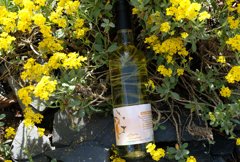 Flasche Samtpfote schräg auf Schieferstein und gelbe Pflanzen gelegt.